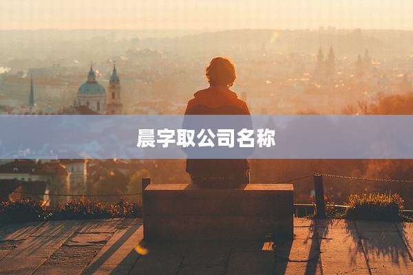晨字取公司名称