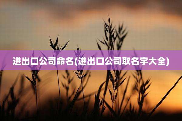 进出口公司命名(进出口公司取名字大全)