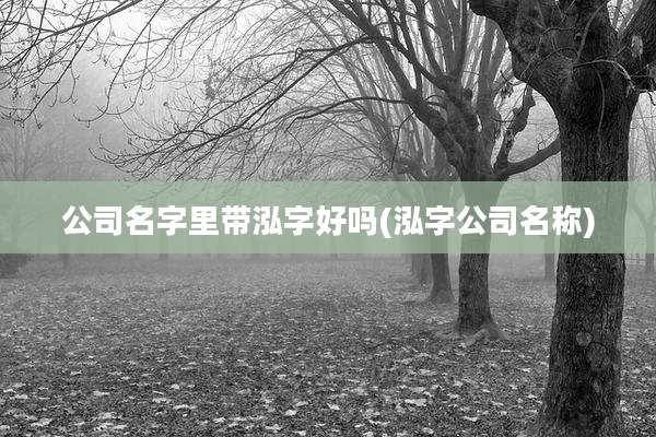 公司名字里带泓字好吗(泓字公司名称)