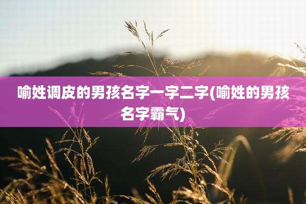 喻姓调皮的男孩名字一字二字(喻姓的男孩名字霸气)