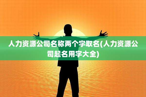 人力资源公司名称两个字取名(人力资源公司起名用字大全)