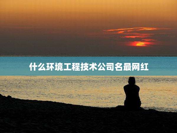 什么环境工程技术公司名最网红