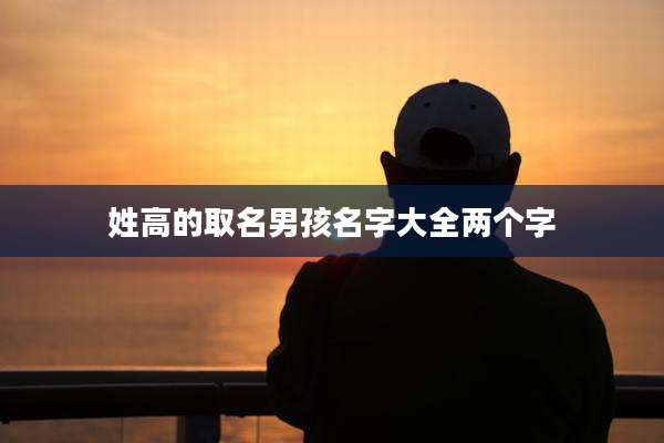 姓高的取名男孩名字大全两个字