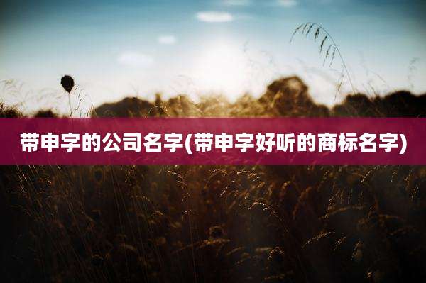 带申字的公司名字(带申字好听的商标名字)