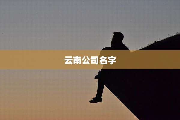 云南公司名字