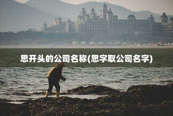 思开头的公司名称(思字取公司名字)