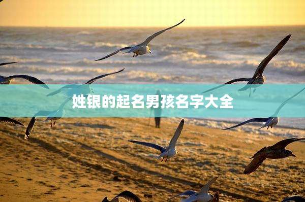 姓银的起名男孩名字大全