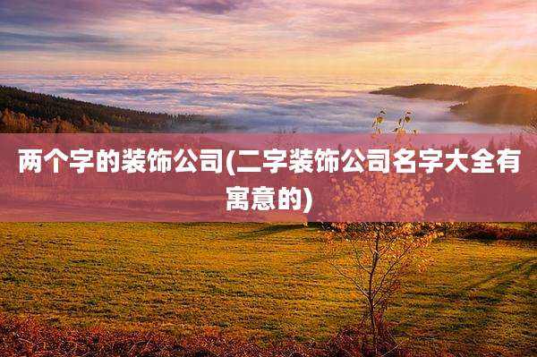 两个字的装饰公司(二字装饰公司名字大全有寓意的)