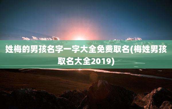 姓梅的男孩名字一字大全免费取名(梅姓男孩取名大全2019)