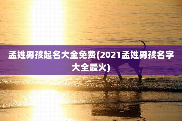 孟姓男孩起名大全免费(2021孟姓男孩名字大全最火)