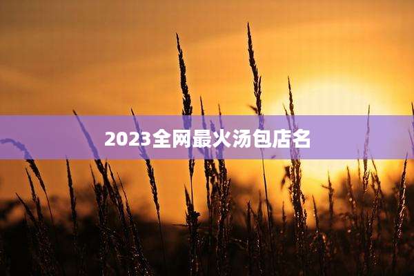 2023全网最火汤包店名