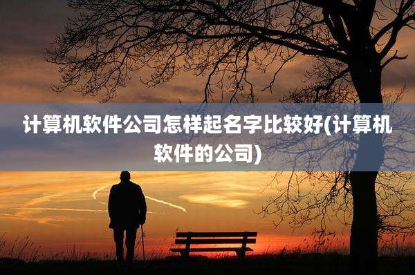 计算机软件公司怎样起名字比较好(计算机软件的公司)