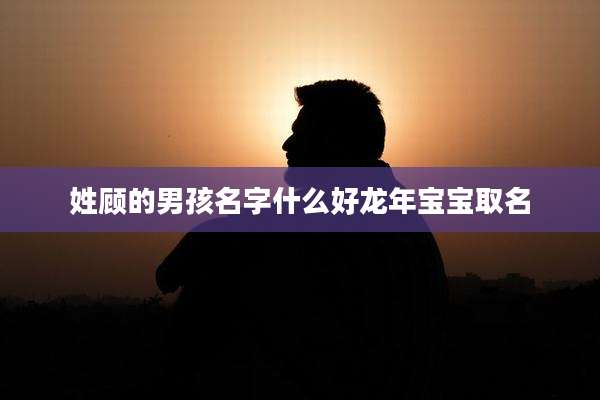 姓顾的男孩名字什么好龙年宝宝取名