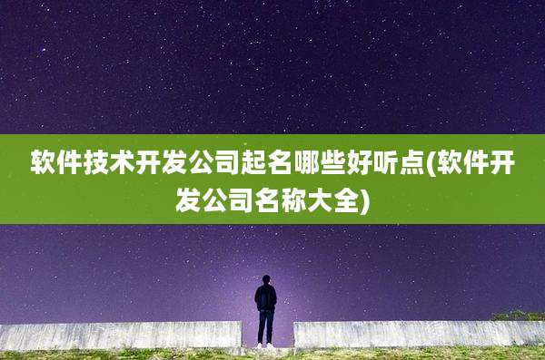 软件技术开发公司起名哪些好听点(软件开发公司名称大全)