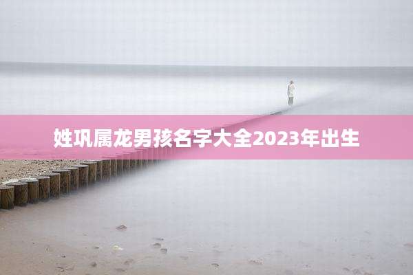 姓巩属龙男孩名字大全2023年出生