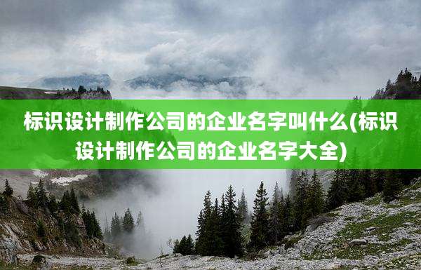 标识设计制作公司的企业名字叫什么(标识设计制作公司的企业名字大全)