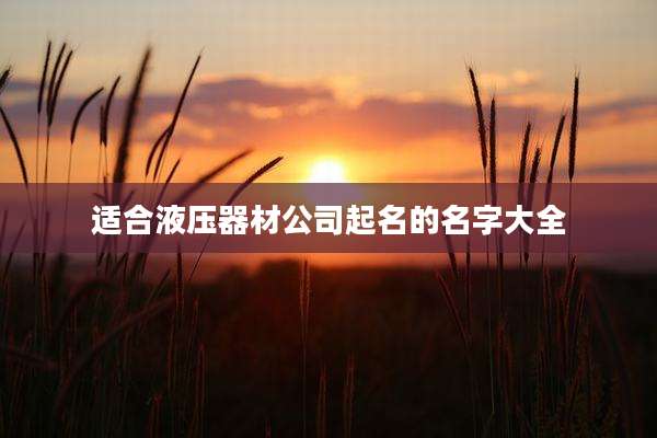 适合液压器材公司起名的名字大全