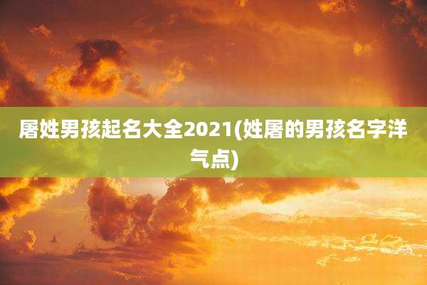 屠姓男孩起名大全2021(姓屠的男孩名字洋气点)