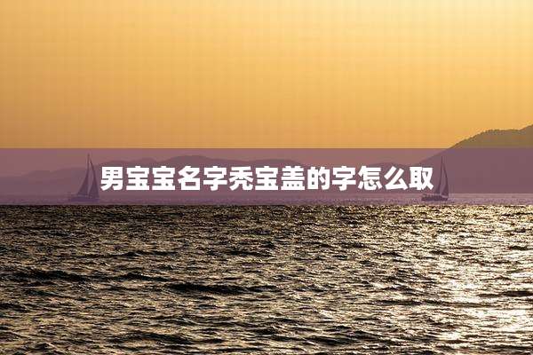 男宝宝名字秃宝盖的字怎么取