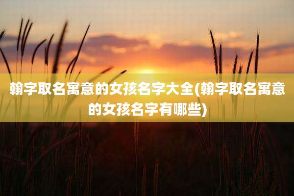 翰字取名寓意的女孩名字大全(翰字取名寓意的女孩名字有哪些)