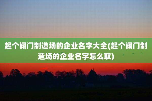 起个阀门制造场的企业名字大全(起个阀门制造场的企业名字怎么取)