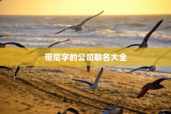 带尼字的公司取名大全