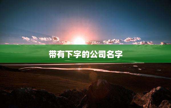 带有下字的公司名字