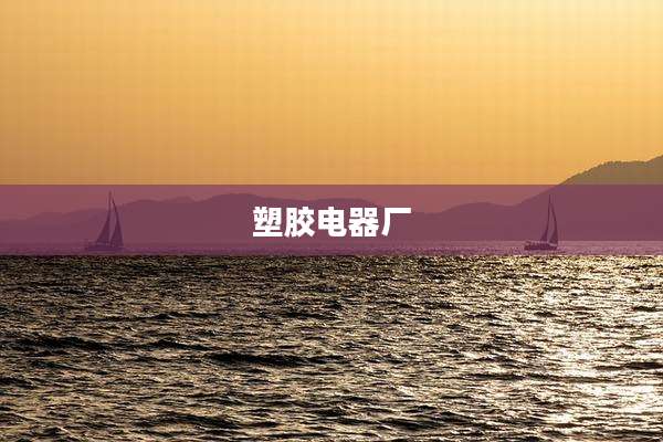 塑胶电器厂