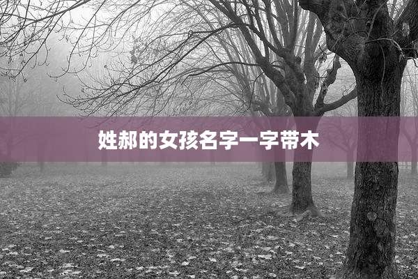 姓郝的女孩名字一字带木