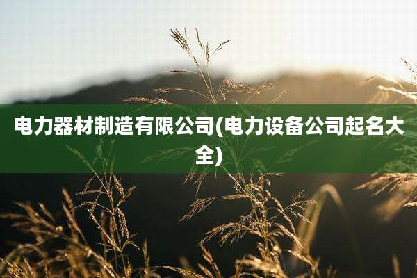 电力器材制造有限公司(电力设备公司起名大全)