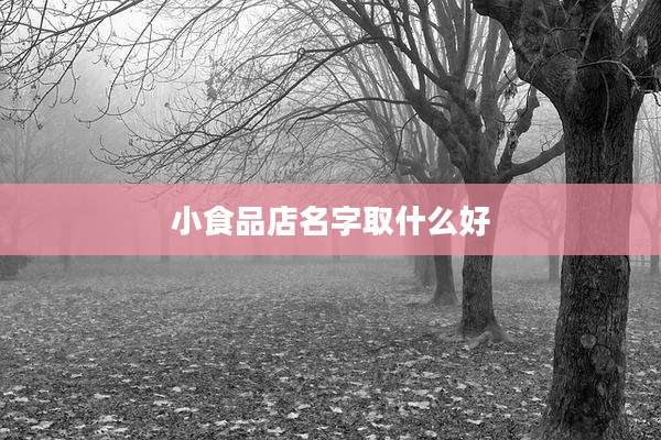 小食品店名字取什么好