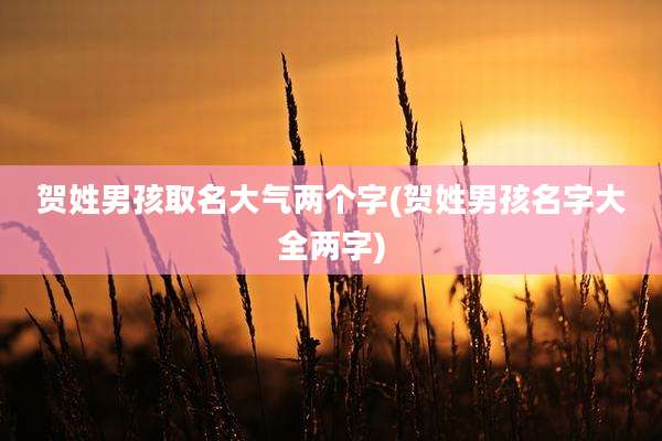 贺姓男孩取名大气两个字(贺姓男孩名字大全两字)