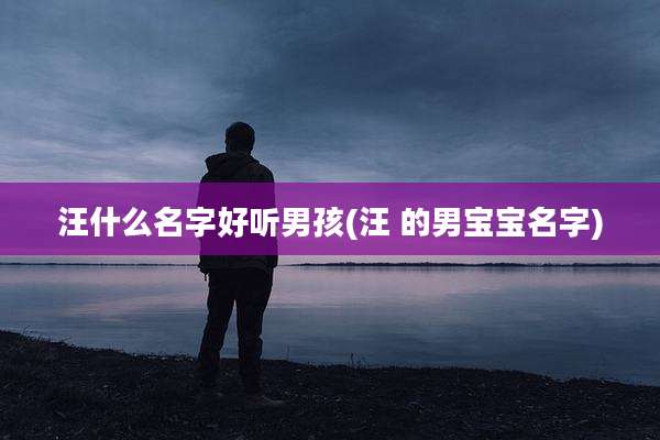 汪什么名字好听男孩(汪 的男宝宝名字)