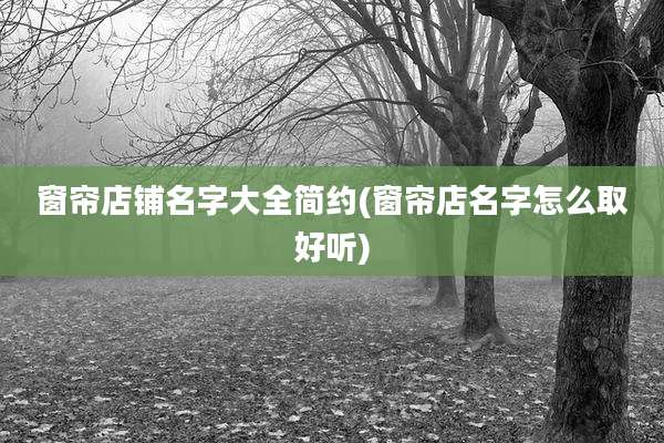 窗帘店铺名字大全简约(窗帘店名字怎么取好听)
