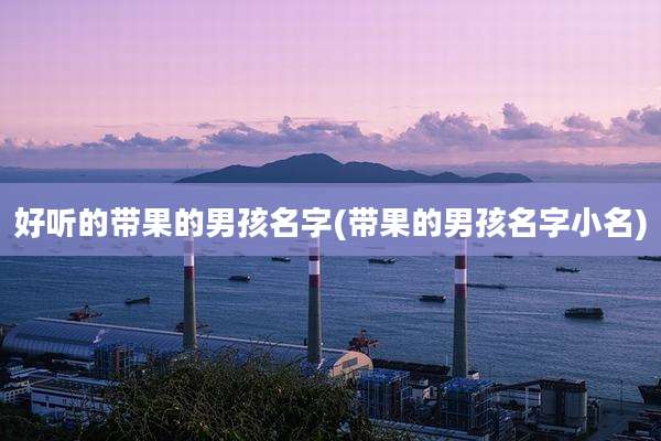 好听的带果的男孩名字(带果的男孩名字小名)