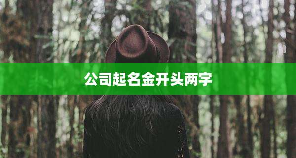 公司起名金开头两字