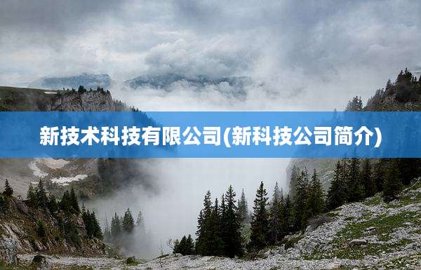 新技术科技有限公司(新科技公司简介)