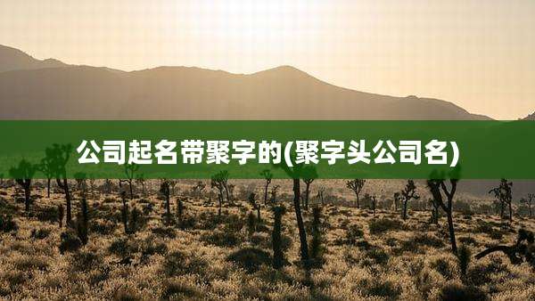 公司起名带聚字的(聚字头公司名)