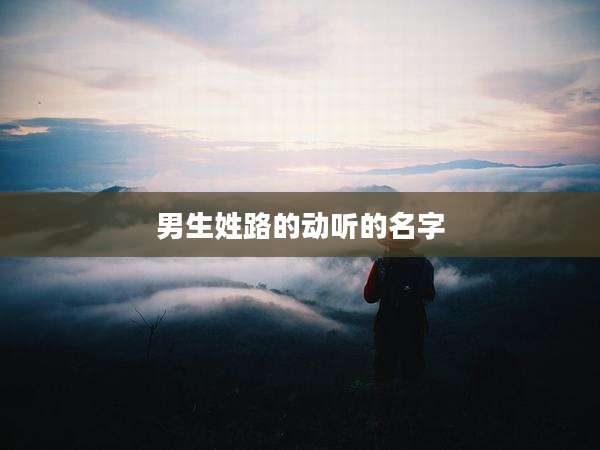 男生姓路的动听的名字