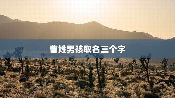 曹姓男孩取名三个字