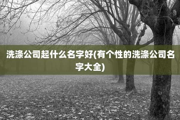 洗涤公司起什么名字好(有个性的洗涤公司名字大全)