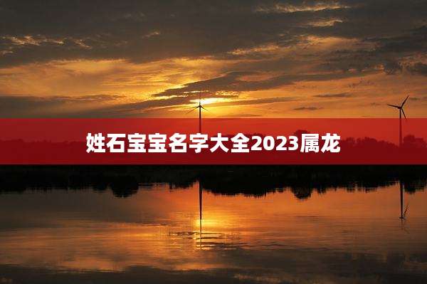 姓石宝宝名字大全2023属龙