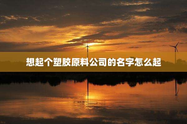 想起个塑胶原料公司的名字怎么起