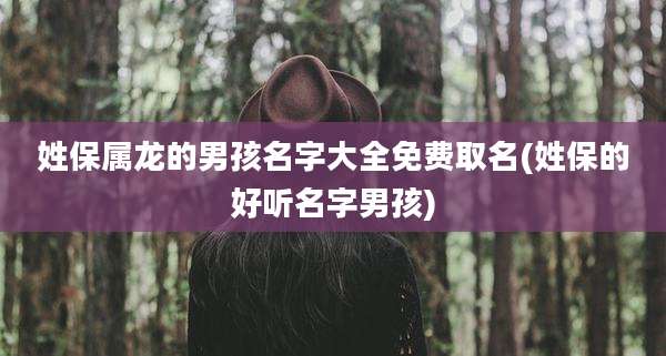 姓保属龙的男孩名字大全免费取名(姓保的好听名字男孩)