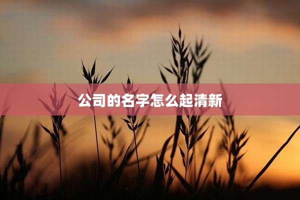 公司的名字怎么起清新