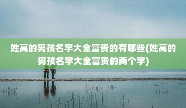 姓高的男孩名字大全富贵的有哪些(姓高的男孩名字大全富贵的两个字)