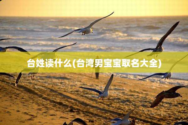 台姓读什么(台湾男宝宝取名大全)