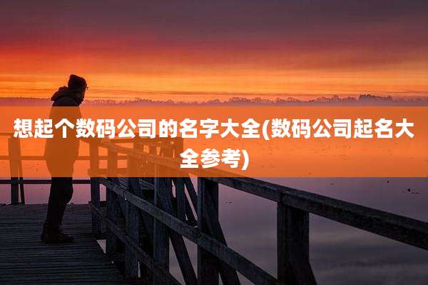 想起个数码公司的名字大全(数码公司起名大全参考)