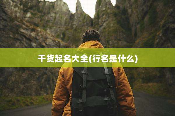 干货起名大全(行名是什么)