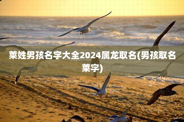 莱姓男孩名字大全2024属龙取名(男孩取名莱字)